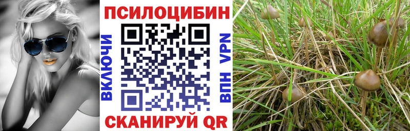 Псилоцибиновые грибы прущие грибы  Гусиноозёрск 